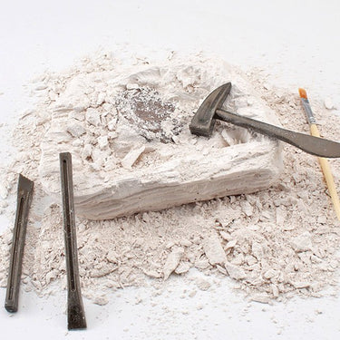 Dinosaur Skeleton Soil Excavation Model Kit (Large Size)